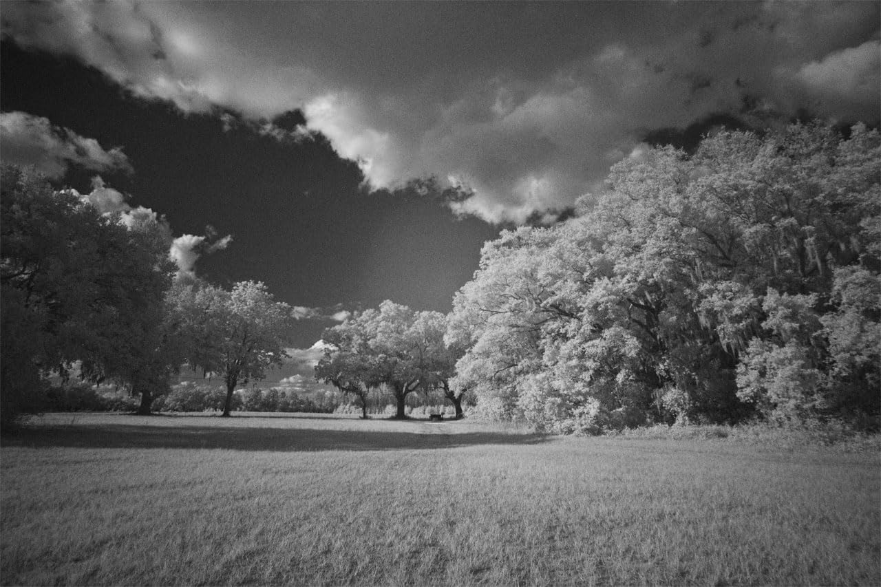 GREEN.L 58mm Infrared Filter, 58mm IR 760nm (R76) Filter for Camera Lens customer photo 1