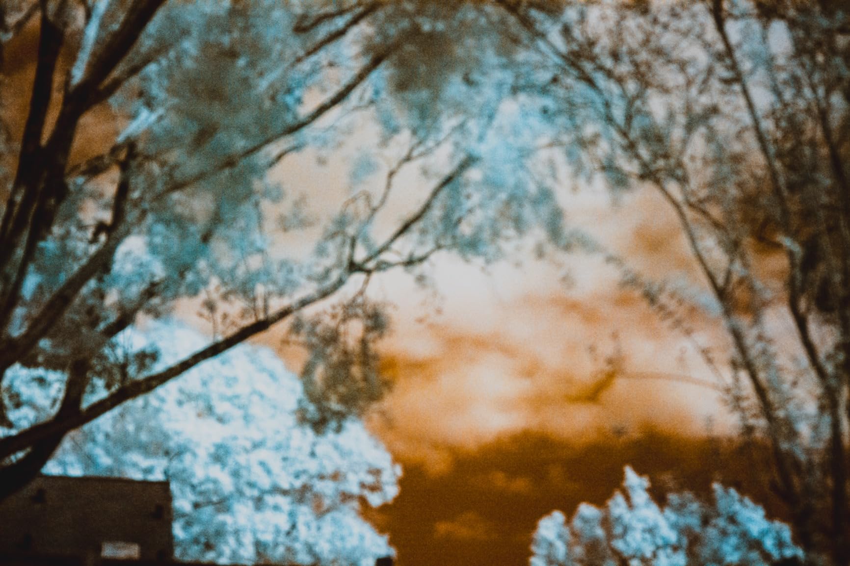 GREEN.L 58mm Infrared Filter, 58mm IR 760nm (R76) Filter for Camera Lens customer photo 2