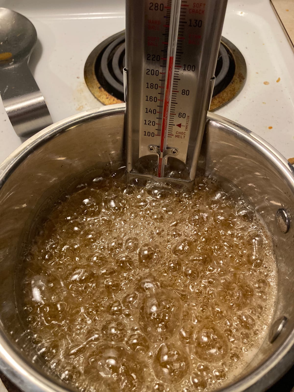 Taylor Stainless Steel Candy and Deep Fry Thermometer, 12-Inch Analog Paddle with Pan Clip, Ideal for Frying, Sugar, Brewing, Syrup, and More, White customer photo 2