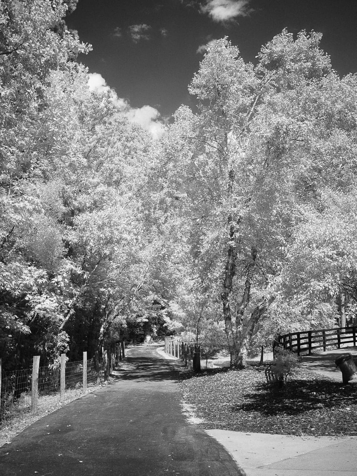 K&F CONCEPT 72mm 720nm IR Infrared Filter customer photo 2
