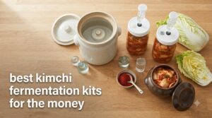 best kimchi fermentation kits for the money