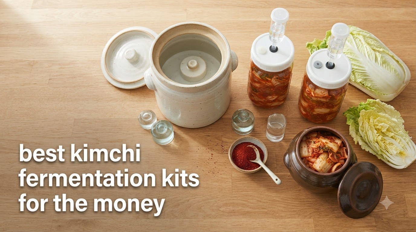 best kimchi fermentation kits for the money