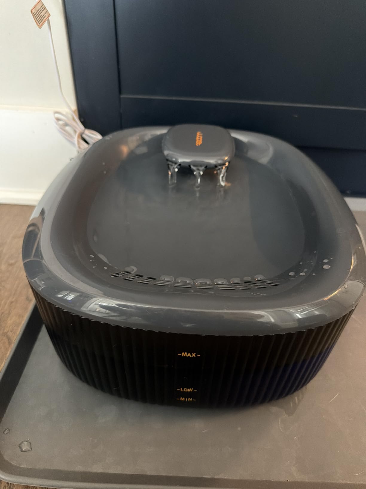 12 Best Dog Water Fountains for Large Dogs (October 2026) Honest Reviews